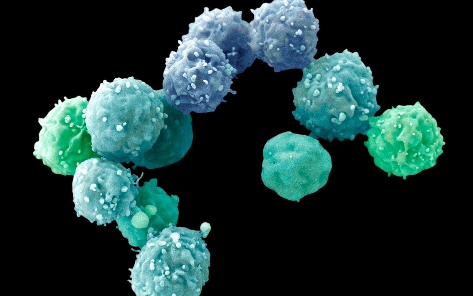 Stem Cell Therapy without Stem Cell Transplants Part I: Current Status