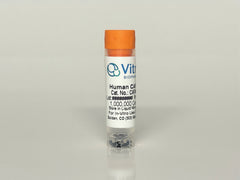 CAF02-01_240x.jpg?v=1733203403