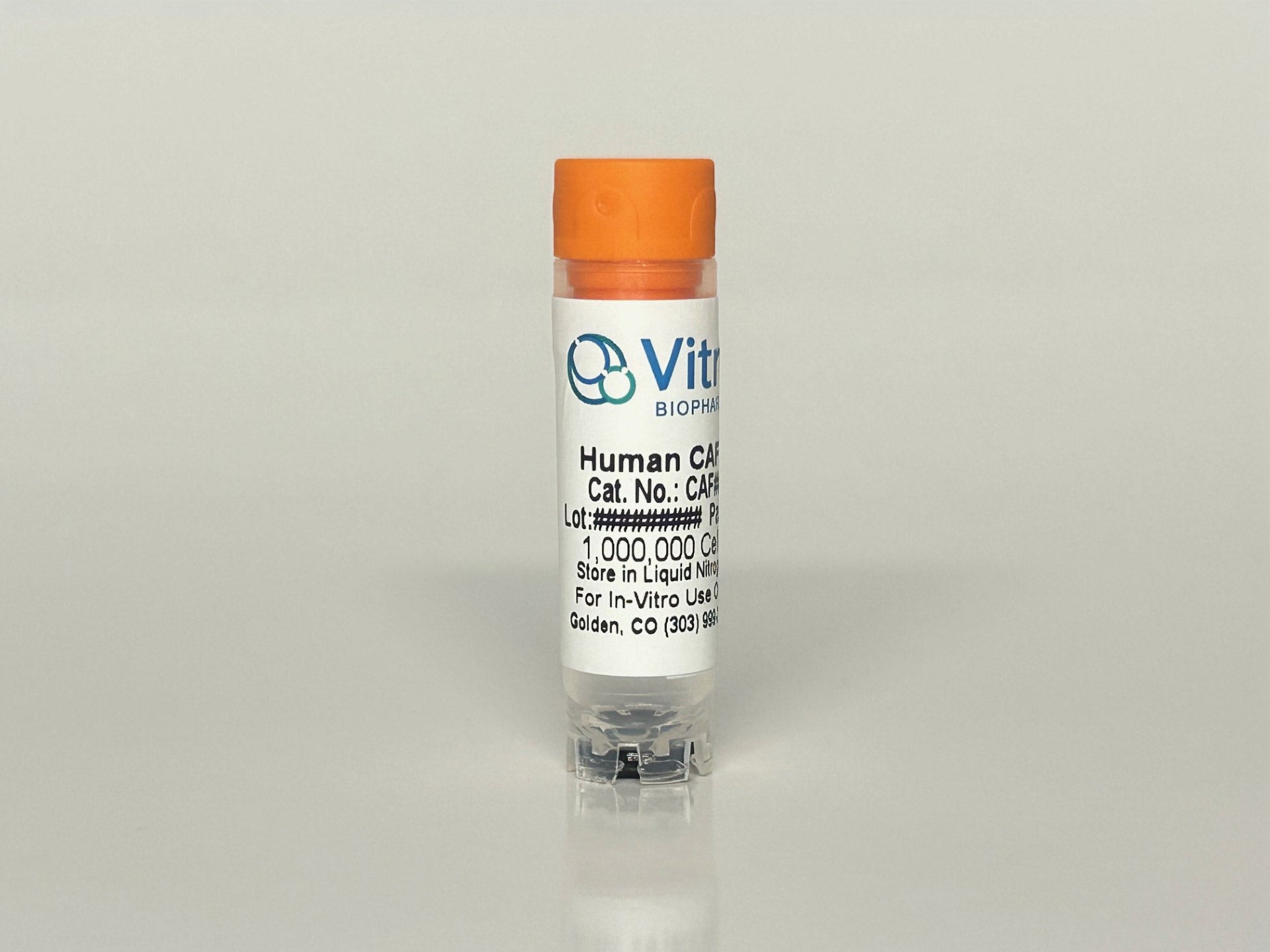Human Melanoma Cancer-Associated Fibroblasts (CAFs): 1,000,000 Cells
