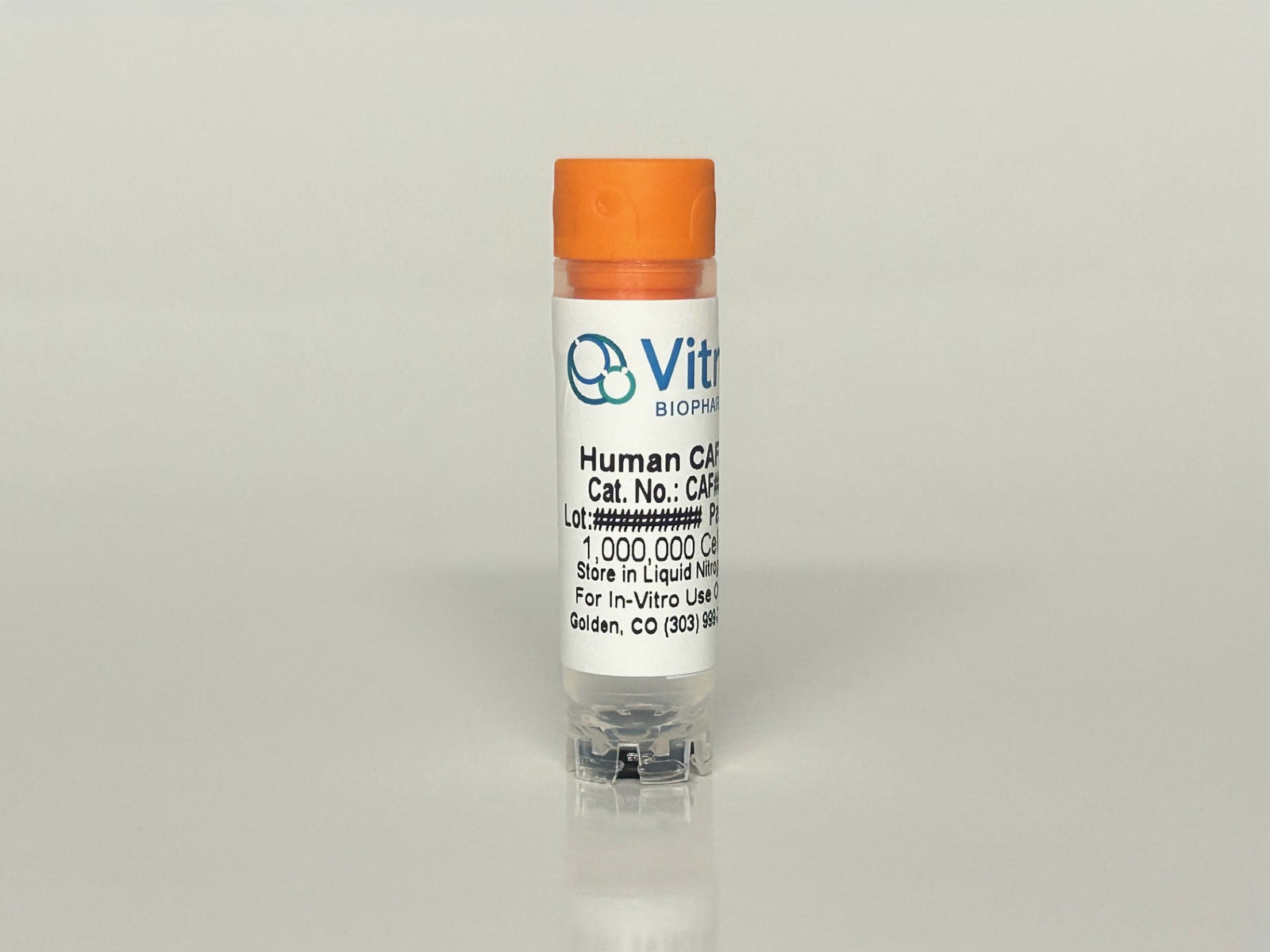 Human Head & Neck Squamous Cell Carcinoma Cancer-Associated Fibroblasts (CAFs): 1,000,000 Cells