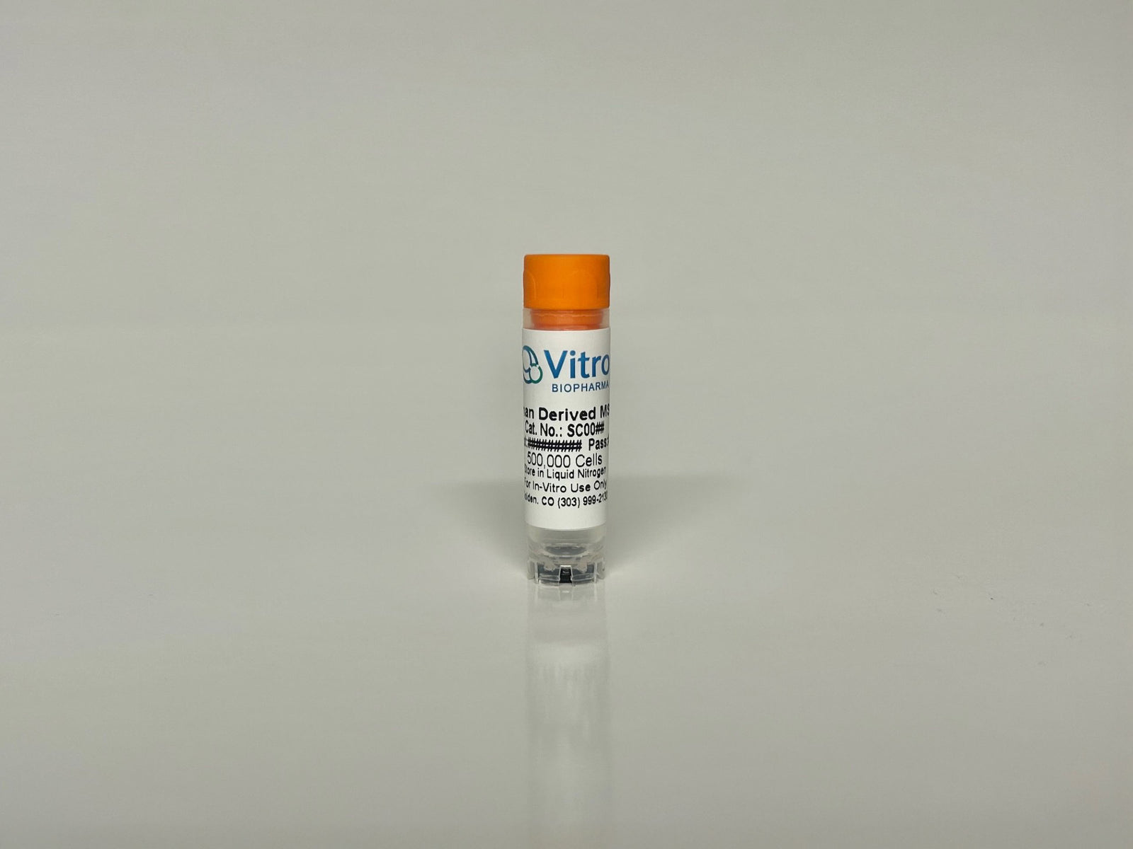 Human Pancreatic Fibroblasts: 500,000 Cells