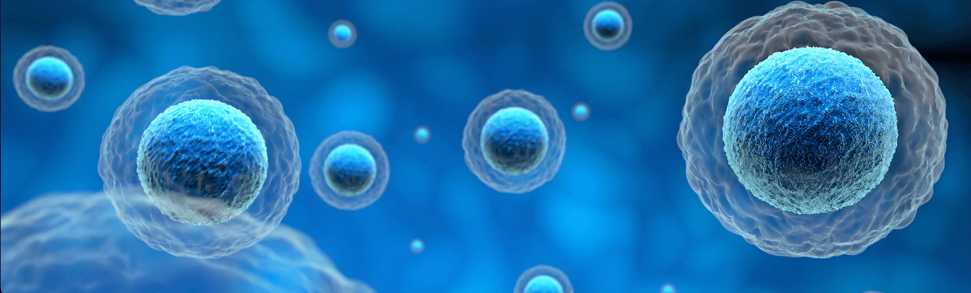 Vitro Biopharma Stem Cells Science
